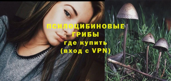 мяу мяу мука Кинешма