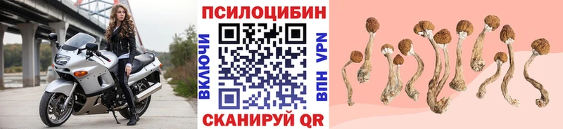 Галлюциногенные грибы прущие грибы  Купить  Городовиковск 